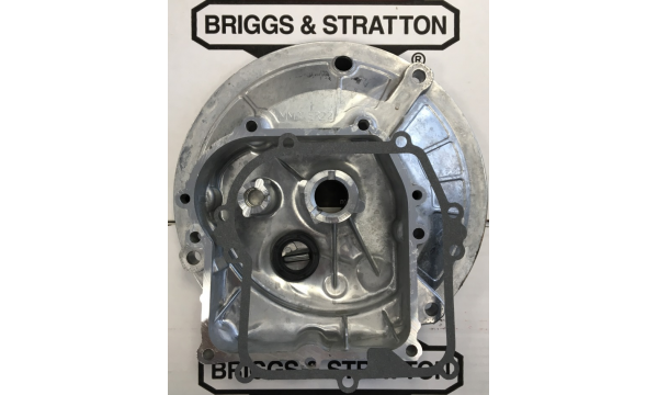 KARTERIS BRIGGS & STRATTON SERIES 450E 500E