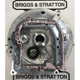 KARTERIS BRIGGS & STRATTON OHV