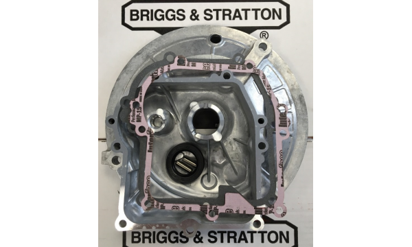 KARTERIS BRIGGS & STRATTON OHV