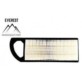 GAISA FILTRU BRIGGS & STRATTON INTEK AVS 15KM-19KM