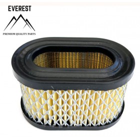 GAISA FILTRU BRIGGS & STRATTON QUANTUM MAZS