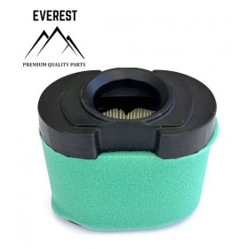 GAISA FILTRU BRIGGS & STRATTON 2 VALCE OHV JAUNAIS MODELIS