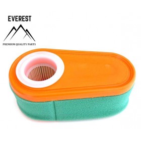 GAISA FILTRU BRIGGS & STRATTON 850 7,5-8,5 ZS