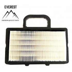 GAISA FILTRU BRIGGS UN STRATTON JAUNS MODELIS