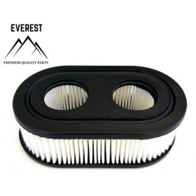 GAISA FILTRU BRIGGS & STRATTON SPRINT SERIES 500, JAUNS PARAUGS