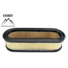 GAISA FILTRU BRIGGS & STRATTON 16KM-18KM BOXER 2CYL