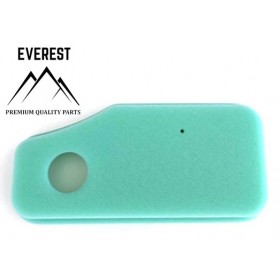 GAISA FILTRU BRIGGS & STRATTON 10KM-11KM 270843