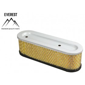 Gaisa filtrs BRIGGS&STRATTON 10KM-12KM EVEREST