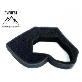 Gaisa filtrs HONDA GX25