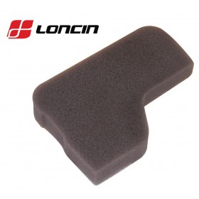 Ieejas filtrs Loncin LC1P61FE, LC1P65FE