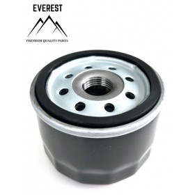 EĻĻAS FILTRU BRIGGS & STRATTON TRAKTORS