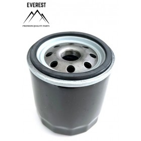 EĻĻAS FILTRU BRIGGS & STRATTON AUGST traktors