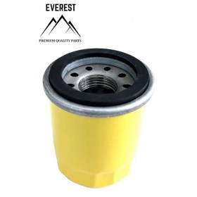 Eļļas filtrs BRIGGS & STRATTON 795990