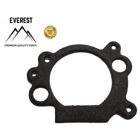 STARPPOSMA GAISA FILTRU BRIGGS & STRATTON OHV