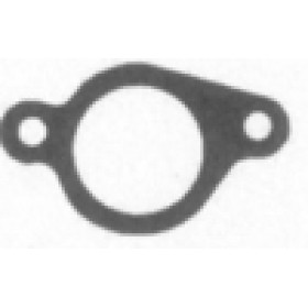 KOLEKTORA STARPPOSMA BRIGGS UN STRATTON QUANTUM