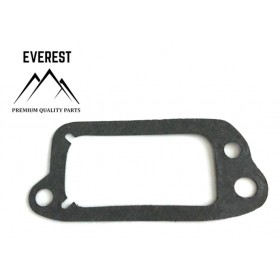 STARPVALSTU VĀRSTA VĀKU BRIGGS UN STRATTON QUANTUM