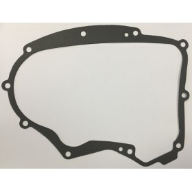 STARPTAUTISKĀS KARTERA BRIGGAS UN STRATTON 2 CILINDRIJA 20KM-26KM