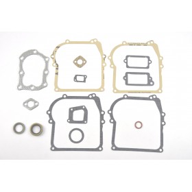 STARPPOSMA KOMPLEKTS BRIGGS & STRATTON 450 500 CLASSIC