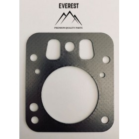 BLĪVGREDZENS BRIGGS & STRATTON 800 OHV 697230