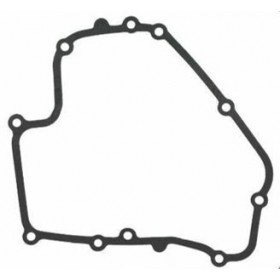 STARPPRODUKTI BRIGGS & STRATTON DOV 793445