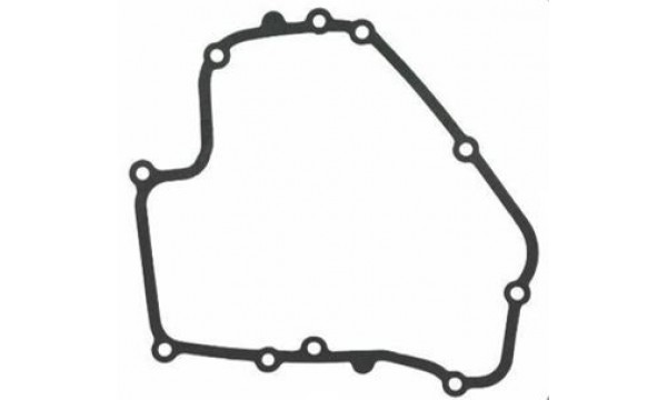 STARPPRODUKTI BRIGGS & STRATTON DOV 793445