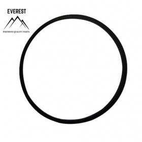 TESNENIE BRIGGS&STRATTON 693981 EVEREST