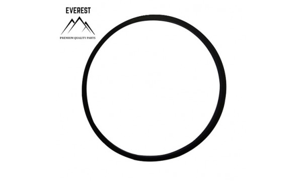 TESNENIE BRIGGS&STRATTON 693981 EVEREST