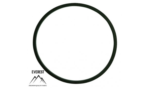 TESNENIE BRIGGS&STRATTON 281165S EVEREST