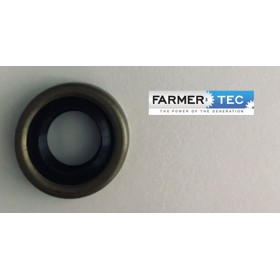 ROŅI PIEMĒROTS STIHL FS