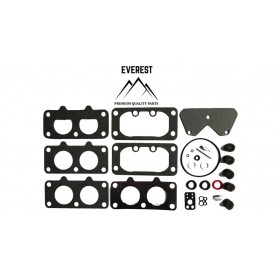 OPRAVĀRENSKĀ SŪPRAVA BRIGGS&STRATTON 40H700 446700 EVEREST