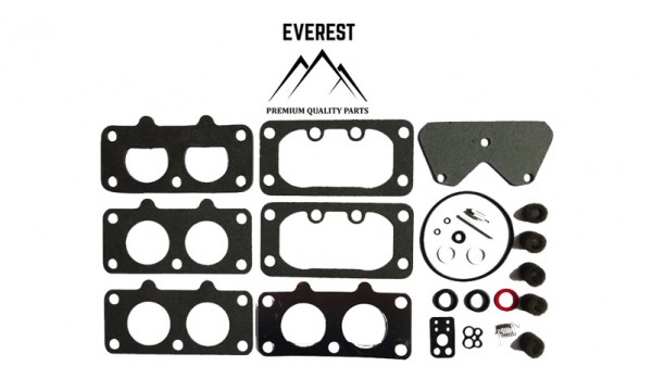 OPRAVĀRENSKĀ SŪPRAVA BRIGGS&STRATTON 40H700 446700 EVEREST