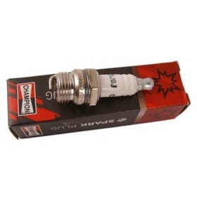 DEGVIECĪBA CHAMPION RDJ8J ZĀLES MAŠĪNĀM AR MAZU VĀRDI UN PRETESTU