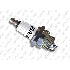 AIZDEDZES SPULDZE BRISK PR15Y ZĀLES ZĀĢIEM AR LIELU VĒRU UN PRETESTU