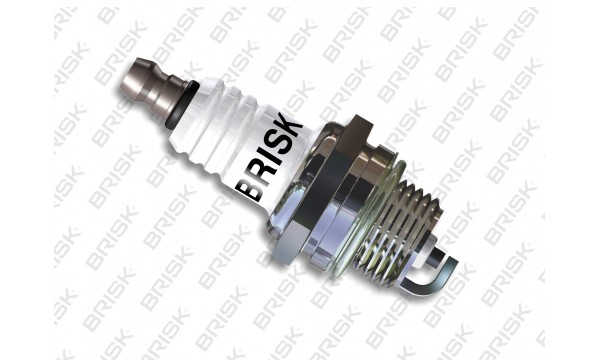 AIZDEDZES SPULDZE BRISK PR15Y ZĀLES ZĀĢIEM AR LIELU VĒRU UN PRETESTU