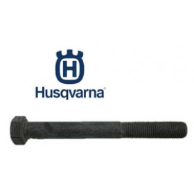 ELEKTROMAGNĒTISKĀ SAJŪGA SKRŪVE