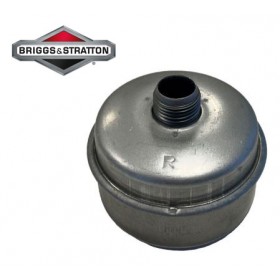 BRIGGS & STRATTON 3,5AG-4,5AG IZPŪTĒJS