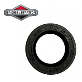 ROŅI VĀRPSTAS ZEMĀKS BRIGGS&STRATTON QUANTUM