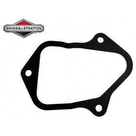 STARPVALSTU VĀRSTA VĀKU BRIGGS UN STRATTON 595342